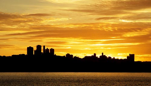 San Francisco Skyline